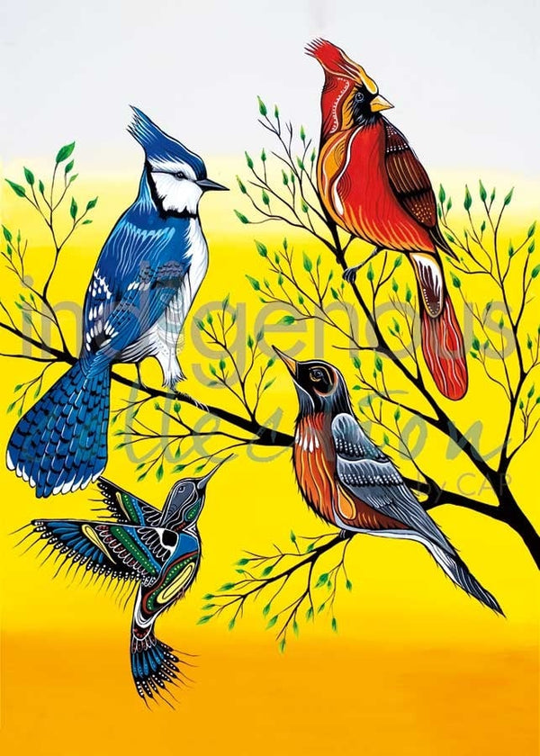 Carte de souhaits Oiseaux de Somers Binesheug - arloca