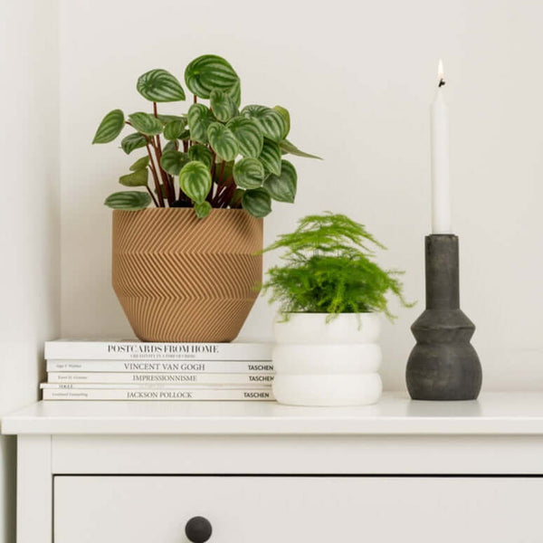 Cache-pot Le Bubbly - arloca