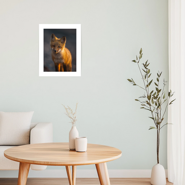 Affiche La dernière lueur - arloca