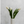 Charger l'image dans la galerie, Vase cylindrique