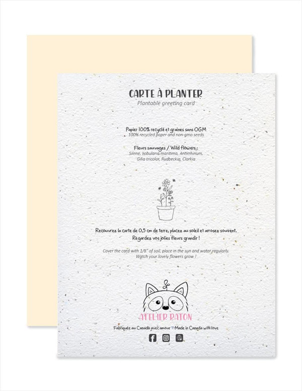 Carte de souhaits plantable T'es Super!