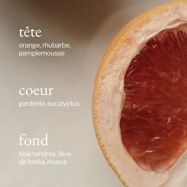 Bougie Eucalyptus & pamplemouse - arloca