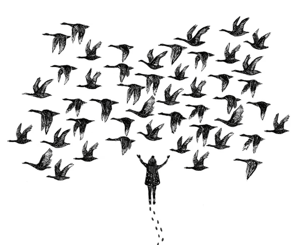 Affiche Les oies - arloca