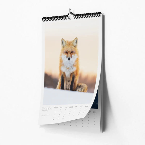 Calendrier 2027 Édition limitée