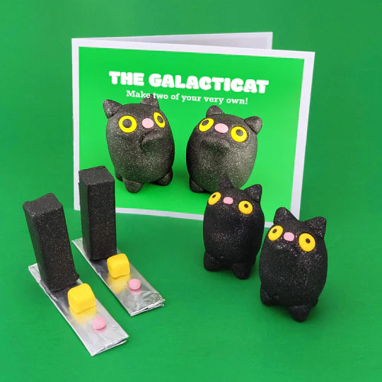Ensemble de fabrication en polymère Galacticat - arloca