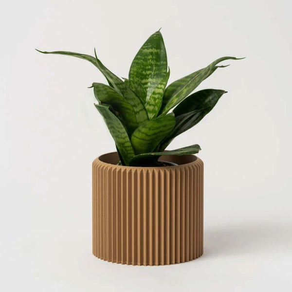 Cache-pot Le Coquet - arloca