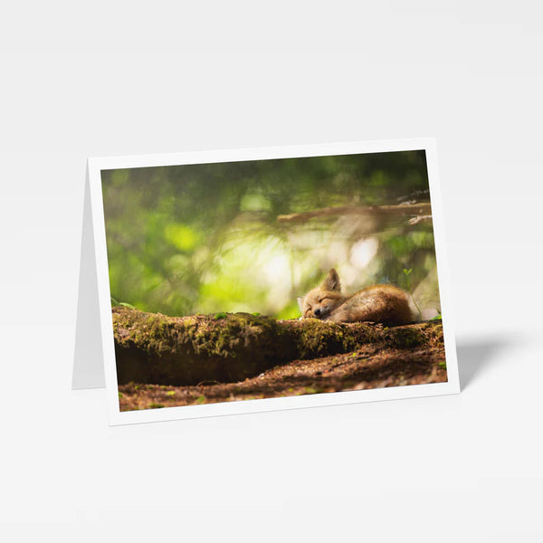 Carte de souhaits nature du Québec Forêt magique