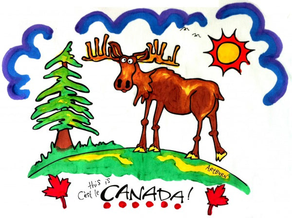 Kit de peinture pour taie d'oreiller Les animaux du Canada - arloca