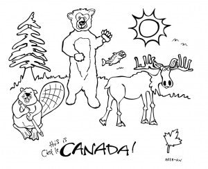 Kit de peinture pour taie d'oreiller Les animaux du Canada - arloca