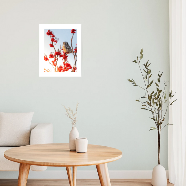 Affiche Focus - arloca