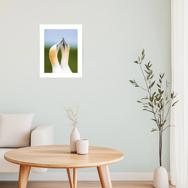 Affiche Foux - arloca