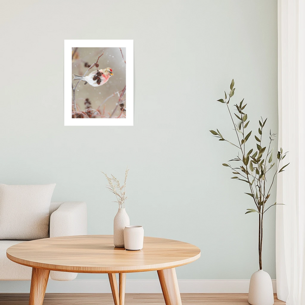 Affiche Sizerin flammé - arloca