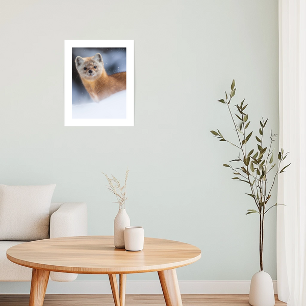 Affiche Martre enneigée - arloca