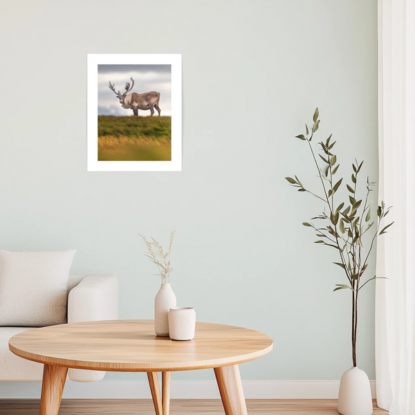 Affiche Au sommet de la colline - arloca