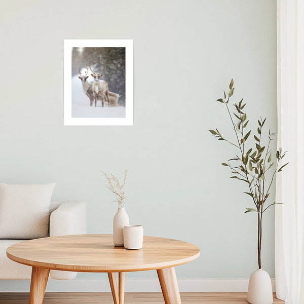 Affiche Rencontre inattendue - arloca