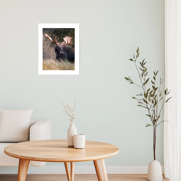 Affiche L'Orignal - arloca