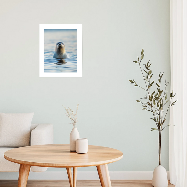 Affiche Coucou - arloca