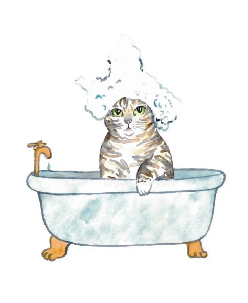 Affiche Chat tigré gris au spa - arloca