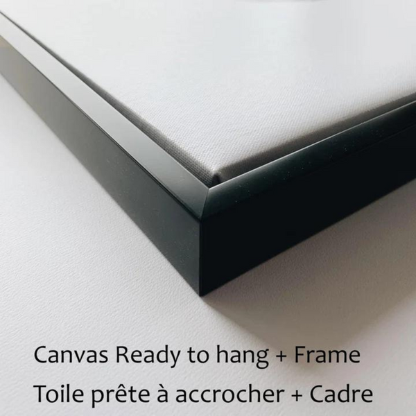 Canevas L'orignal majestueux encadré - arloca