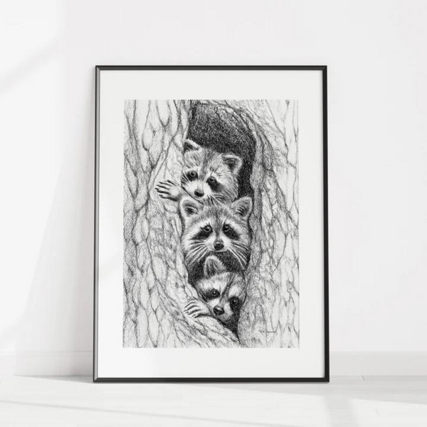 Affiche 3 ratons laveurs dans un arbre - arloca