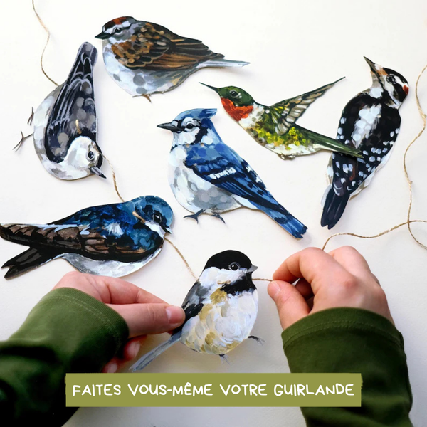 Kit de guirlande d'Oiseaux canadiens
