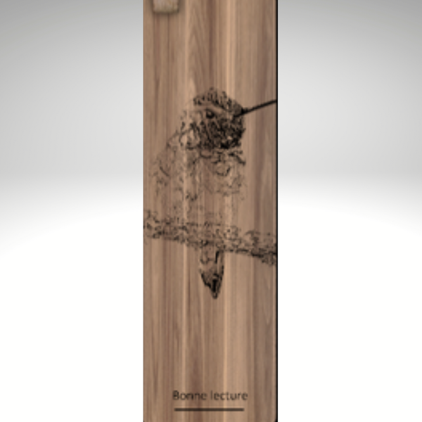 Signet Colibri sur une branche - arloca