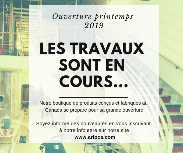 Annonce du projet - les travaux