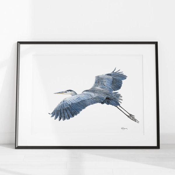 Affiche Le grand héron bleu - arloca