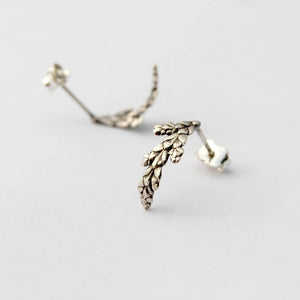 Boucles d'oreilles Cèdre en argent - arloca