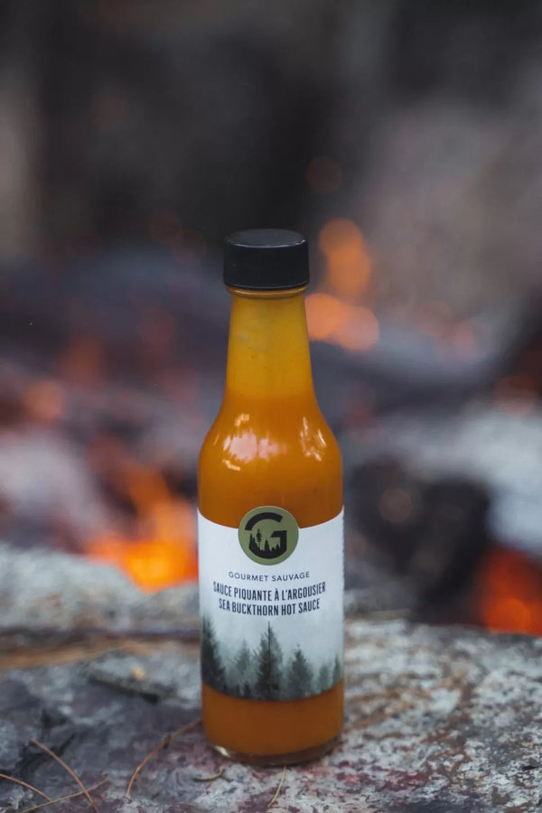 Saude piquante à L'argousier