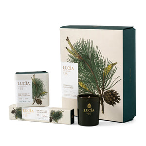 Coffret Pin Douglas.