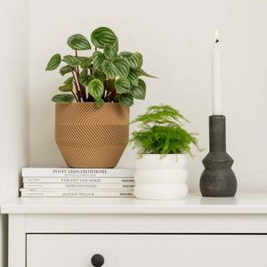 Cache-pot Le Bubbly - arloca