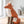 3D Puzzle Kit Sitting Fox
