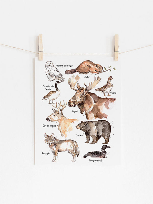 Affiche Les animaux emblématiques du Québec