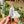 Autocollants animaux