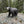Kit de casse-têtes en 3D L'ours noir