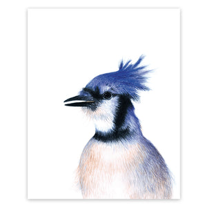 Carte de souhaits Geais bleu - arloca