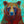 Casse-tête L'ours chevalier - arloca