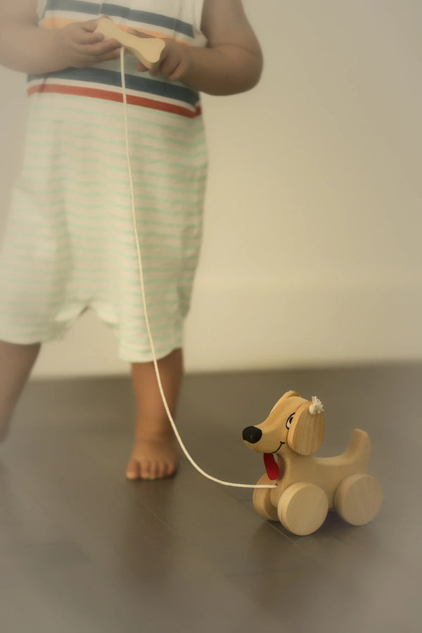 Chien à trainer sur roulette en bois - arloca