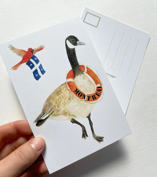 Carte postale Bernache avec sa bouée