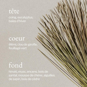 Diffuseur pour voiture Écorce de pin & cèdre - arloca