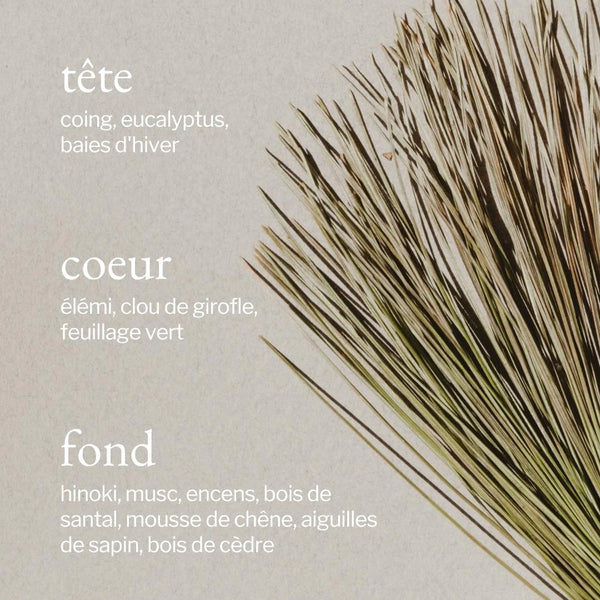 Diffuseur pour voiture Écorce de pin & cèdre