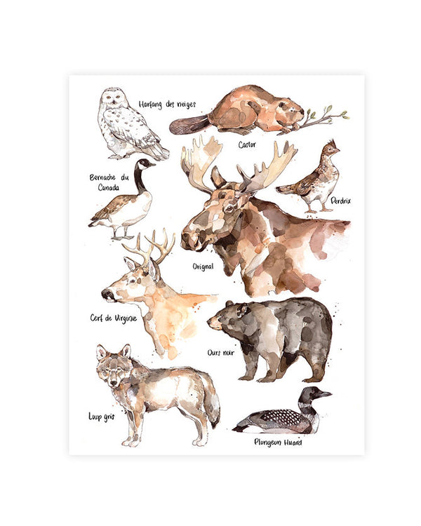 Affiche Les animaux emblématiques du Québec