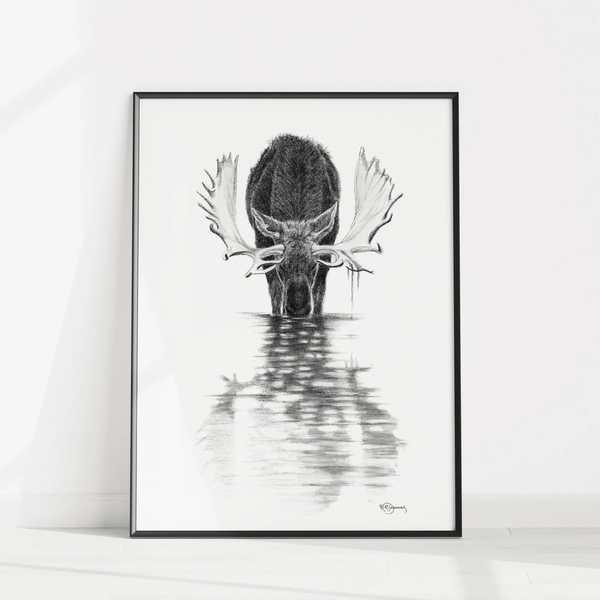 Affiche L'Orignal dans l'eau calme - arloca