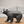 L'ours noir - arloca