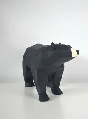L'ours noir - arloca