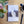 Cahier de notes Renard artique