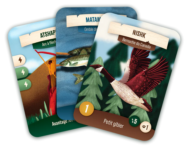 Jeu de société Nirassinan - arloca