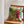 Housse de coussin en velours Tigresse - arloca