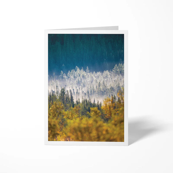 Carte de souhaits nature du Québec Saisons